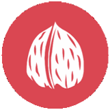 Frutos de cáscara