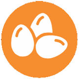Huevos