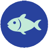 Pescado