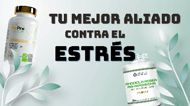 Banner Promocional