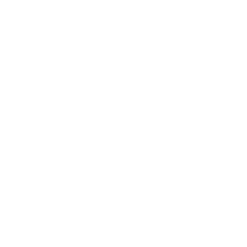 Logo Nutriaction aprobado