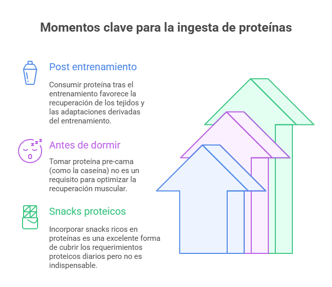 Momentos clave para la ingesta de proteínas