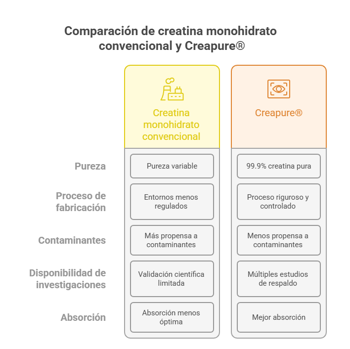Creapure VS Creatina monohidrato convencional