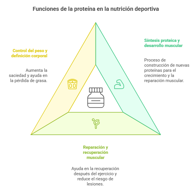 Grafico beneficios de la proteína