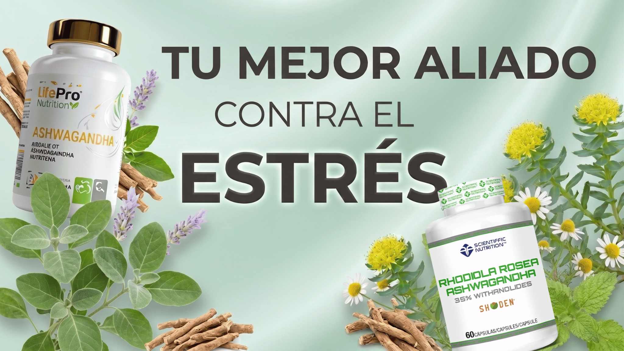 Banner Salud y Bienestar